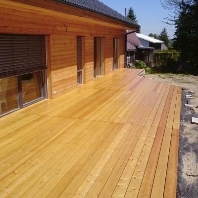 Terasa Ze Sibirskeho Modrinu U Rodinneho Domu